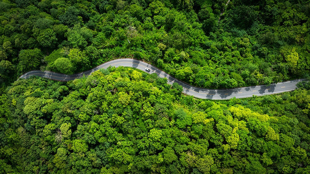 KM Sustainability