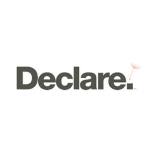 Declare Logo